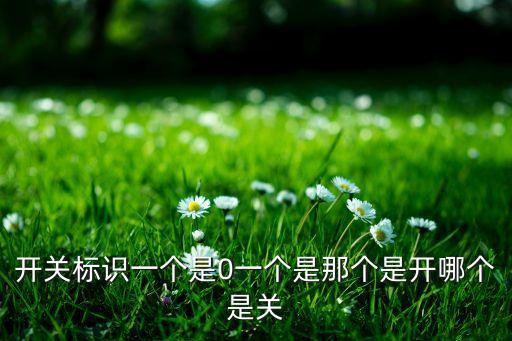 開關(guān)標識一個是0一個是那個是開哪個是關(guān)