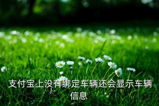  支付寶上沒(méi)有綁定車(chē)輛還會(huì)顯示車(chē)輛信息