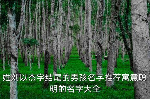 姓劉以杰字結(jié)尾的男孩名字推薦寓意聰明的名字大全