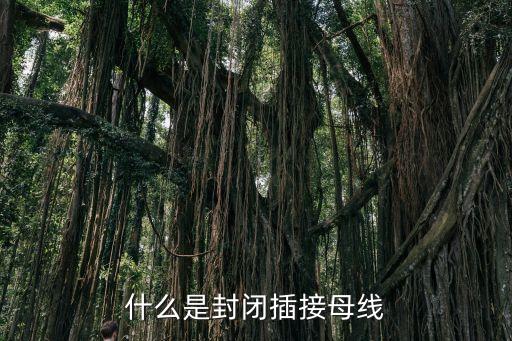 封閉母線，什么是封閉母線簡(jiǎn)略一些