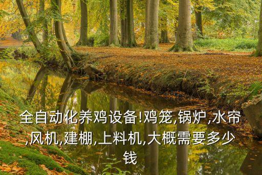全自動化養(yǎng)雞設(shè)備!雞籠,鍋爐,水簾,風(fēng)機(jī),建棚,上料機(jī),大概需要多少錢