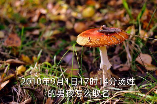 2010年9月1日17時14分湯姓的男孩怎么取名