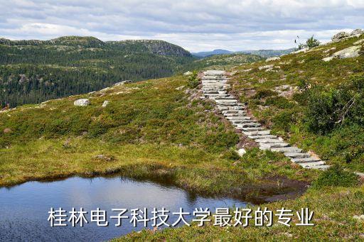 桂電自動化類 專業(yè),桂林電氣工程大學自動化專業(yè)怎么樣?