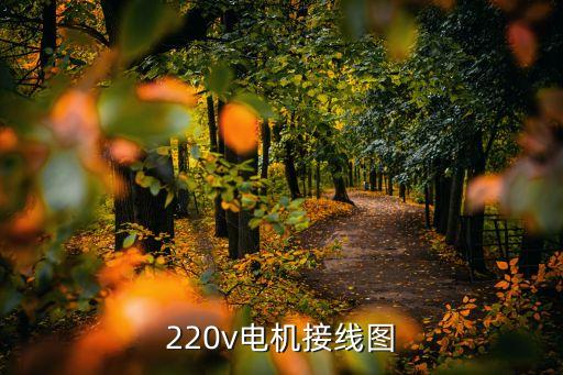220v電機(jī)接線圖