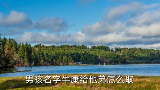 ?？担泻⒚峙？到o他弟怎么取