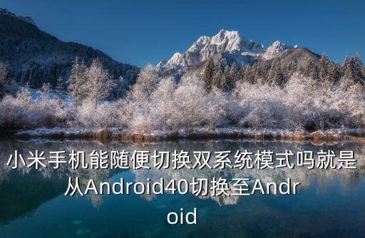 小米手機能隨便切換雙系統(tǒng)模式嗎就是從Android40切換至Android