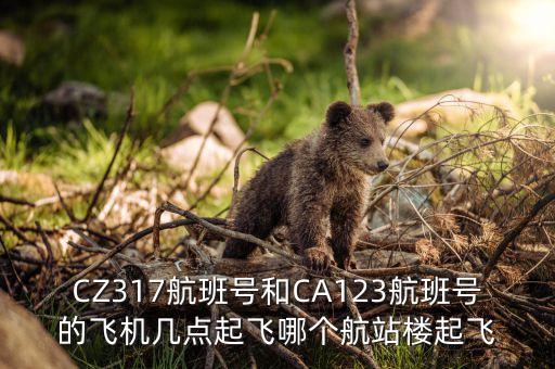 CZ317航班號(hào)和CA123航班號(hào)的飛機(jī)幾點(diǎn)起飛哪個(gè)航站樓起飛