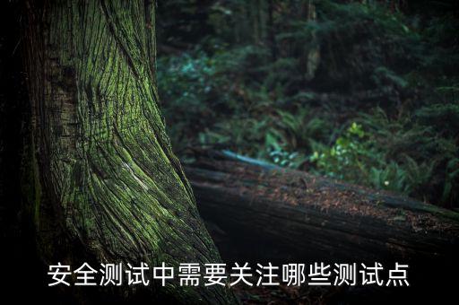 安全測試中需要關(guān)注哪些測試點(diǎn)