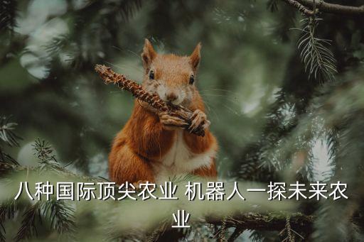 國(guó)忠機(jī)器人,國(guó)自機(jī)器人公司怎么樣