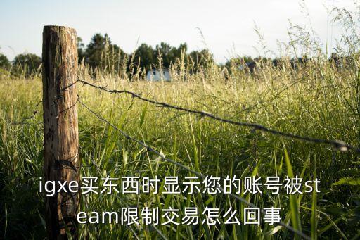 igxe買東西時(shí)顯示您的賬號(hào)被steam限制交易怎么回事