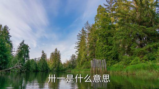 卅一是什么意思