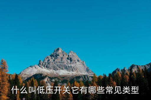 什么叫低壓開關它有哪些常見類型