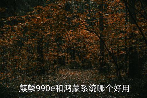  麒麟990e和鴻蒙系統(tǒng)哪個(gè)好用