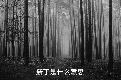 新丁，古代家里再添新丁怎么理解