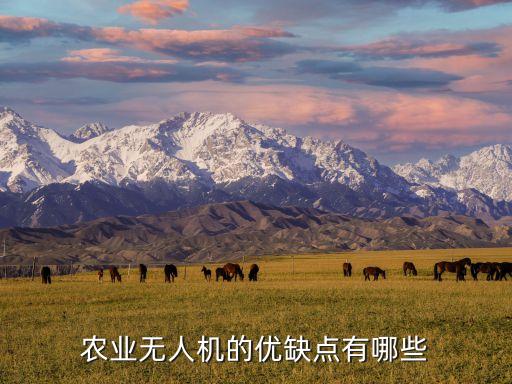 農(nóng)業(yè)無人機，農(nóng)業(yè)無人機種類有幾種都有什么品牌