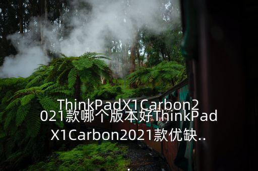 ThinkPadX1Carbon2021款哪個(gè)版本好ThinkPadX1Carbon2021款優(yōu)缺...