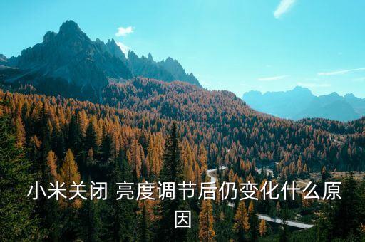 小米max自動(dòng)亮度A,小米自動(dòng)亮度太暗怎么解決