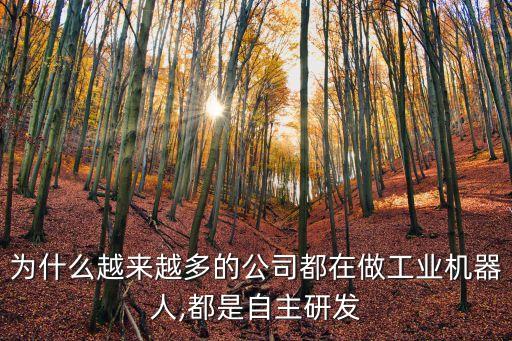 為什么越來(lái)越多的公司都在做工業(yè)機(jī)器人,都是自主研發(fā)