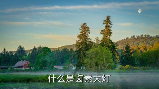 什么是鹵素大燈
