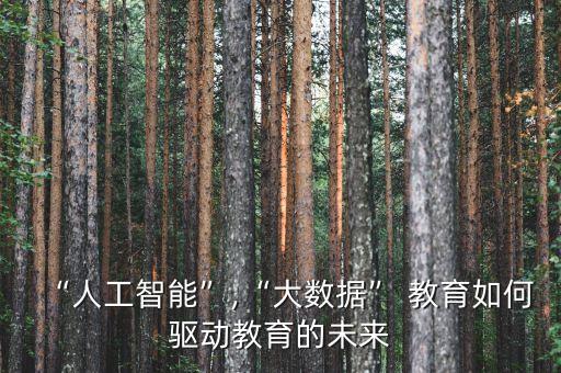“人工智能”,“大數(shù)據(jù)” 教育如何驅(qū)動(dòng)教育的未來