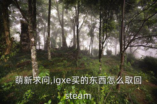 v社封機(jī)器人igxe,賬號(hào)被限制交易怎么辦?
