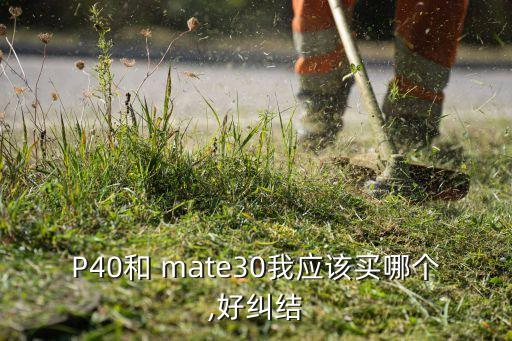 P40和 mate30我應(yīng)該買哪個(gè),好糾結(jié)
