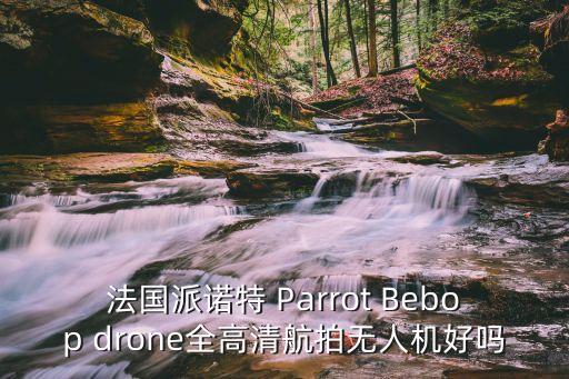 法國派諾特 Parrot Bebop drone全高清航拍無人機好嗎