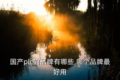 國(guó)產(chǎn)plc的品牌有哪些,哪個(gè)品牌最好用