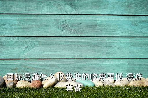 國際漫游怎么收費誰的收費更低 漫游套餐