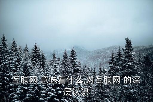 互聯(lián)網(wǎng) 意味著什么,對(duì)互聯(lián)網(wǎng) 的深層認(rèn)識(shí)