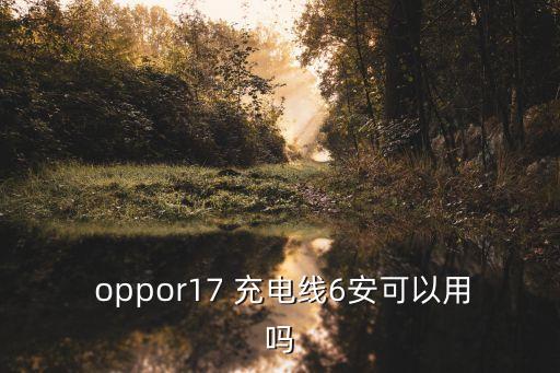 oppor17 充電線6安可以用嗎