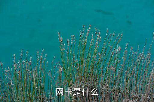 網(wǎng)卡是什么