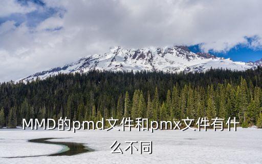 MMD的pmd文件和pmx文件有什么不同