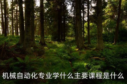 機(jī)械自動化專業(yè)學(xué)什么主要課程是什么