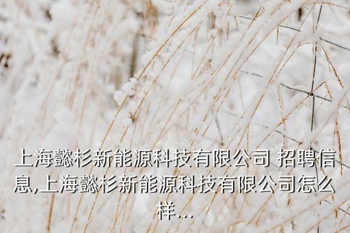 浙江澳翊自動(dòng)化設(shè)備有限公司招聘
