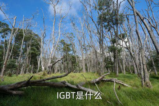 IGBT是什么