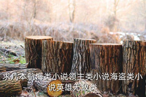 求幾本航海類小說領主類小說海盜類小說英雄無敵類