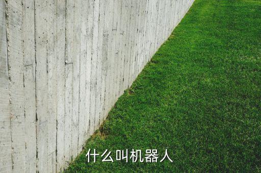 什么叫機(jī)器人