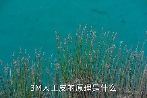 3M人工皮的原理是什么
