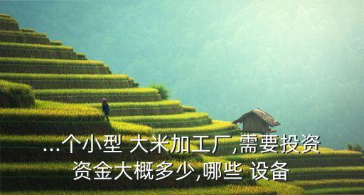 ...個小型 大米加工廠,需要投資資金大概多少,哪些 設(shè)備