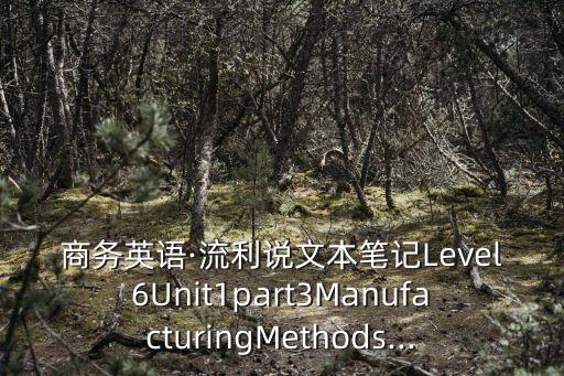 商務(wù)英語·流利說文本筆記Level6Unit1part3ManufacturingMethods...