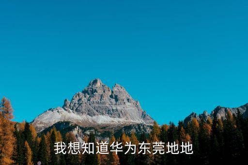 我想知道華為東莞地地