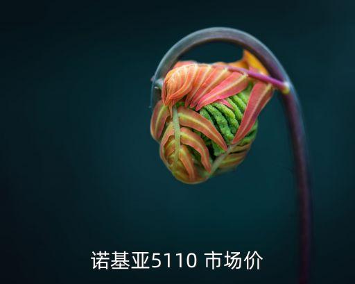 諾基亞5110 市場價(jià)