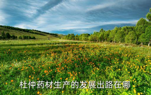 杜仲藥材生產(chǎn)的發(fā)展出路在哪
