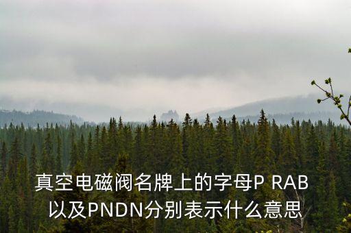 真空電磁閥名牌上的字母P RAB 以及PNDN分別表示什么意思