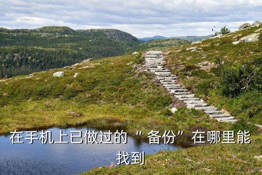 榮耀7備份數(shù)據(jù)在哪,榮耀20pro怎么備份數(shù)據(jù)