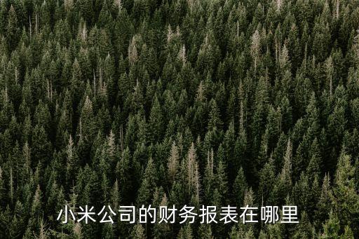 小米公司的財務(wù)報表在哪里