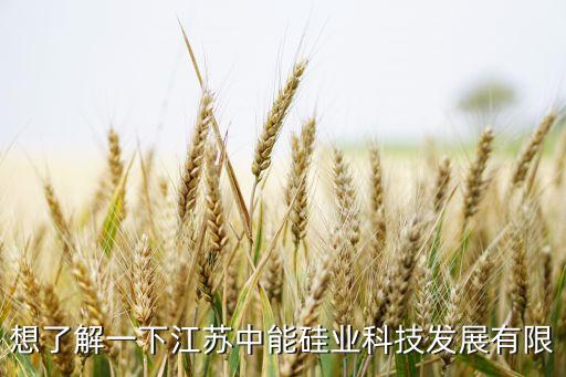 想了解一下江蘇中能硅業(yè)科技發(fā)展有限