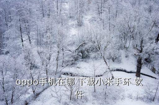 oppo手機(jī)在哪 下載小米手環(huán) 軟件
