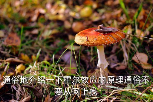 通俗地介紹一下霍爾效應(yīng)的原理通俗不要從網(wǎng)上找